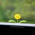 Happy flower atop in dashboard window in car