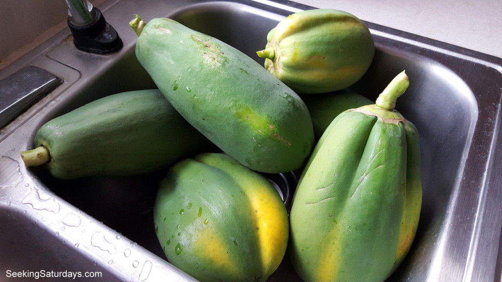 Green Picked Papayas