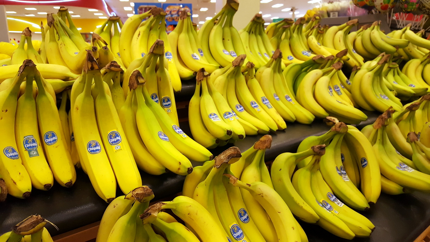 Banana bunches on display at the grocery store
