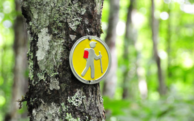 Trail Life & Magic of Backpacking // Reset to Simple (Part 2)