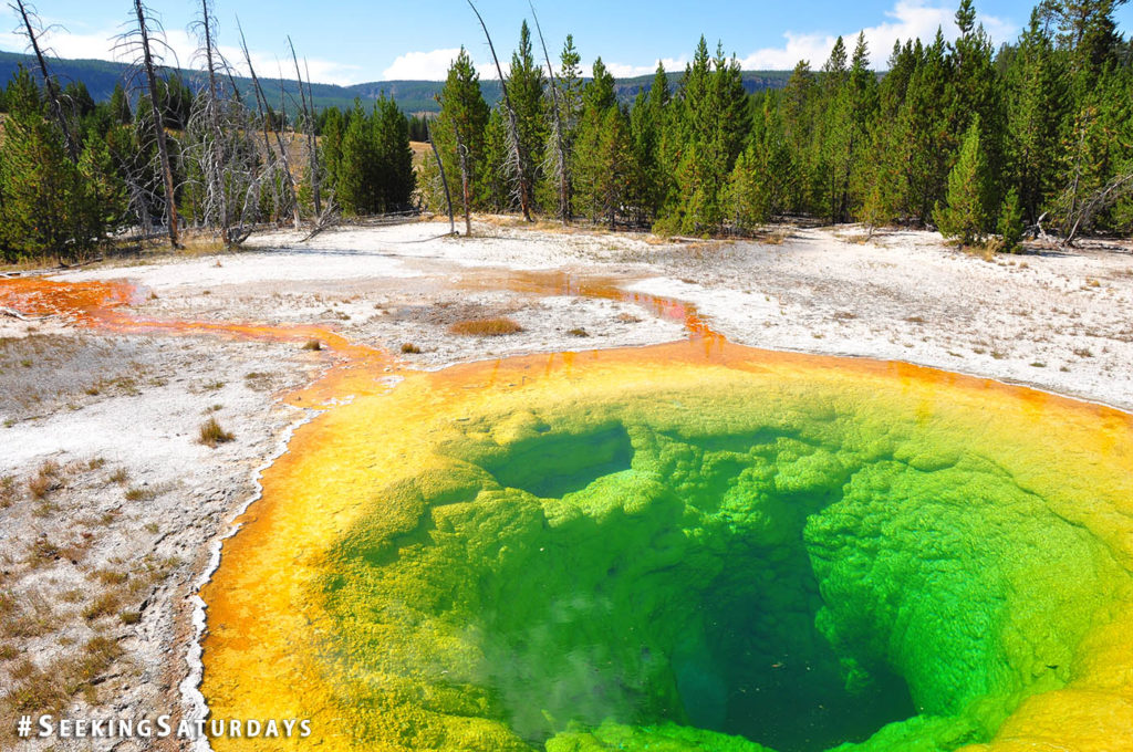 Colorful Morning Glory Pool in Yellowstone National Park