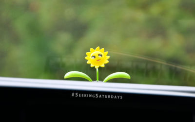 Our Best Tips for a Happy Life