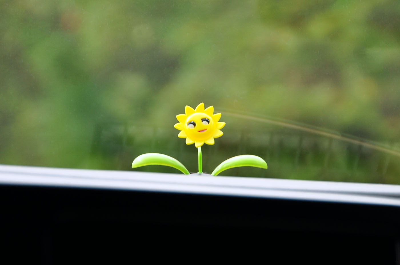 Happy flower atop in dashboard window in car