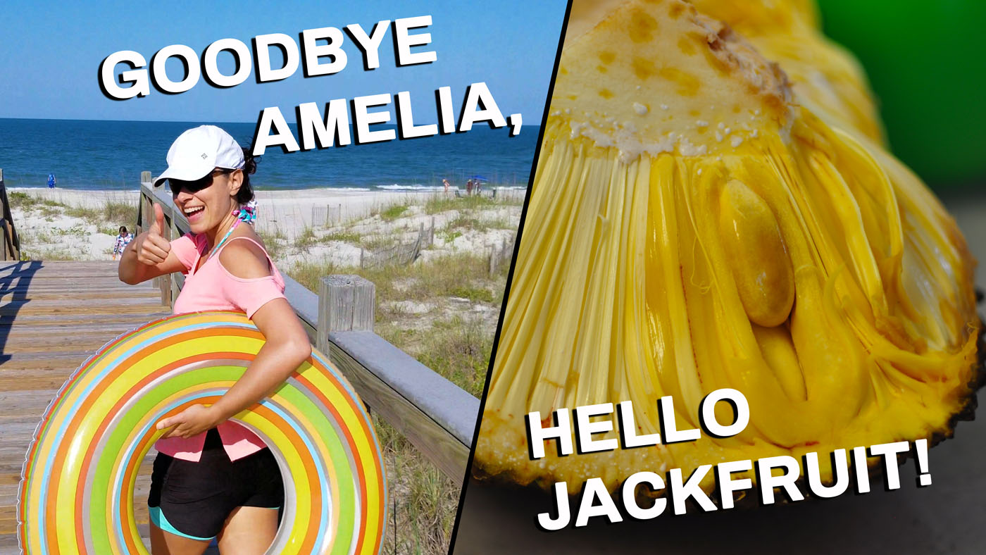 Goodbye Amelia Island Hello Jackfruit!