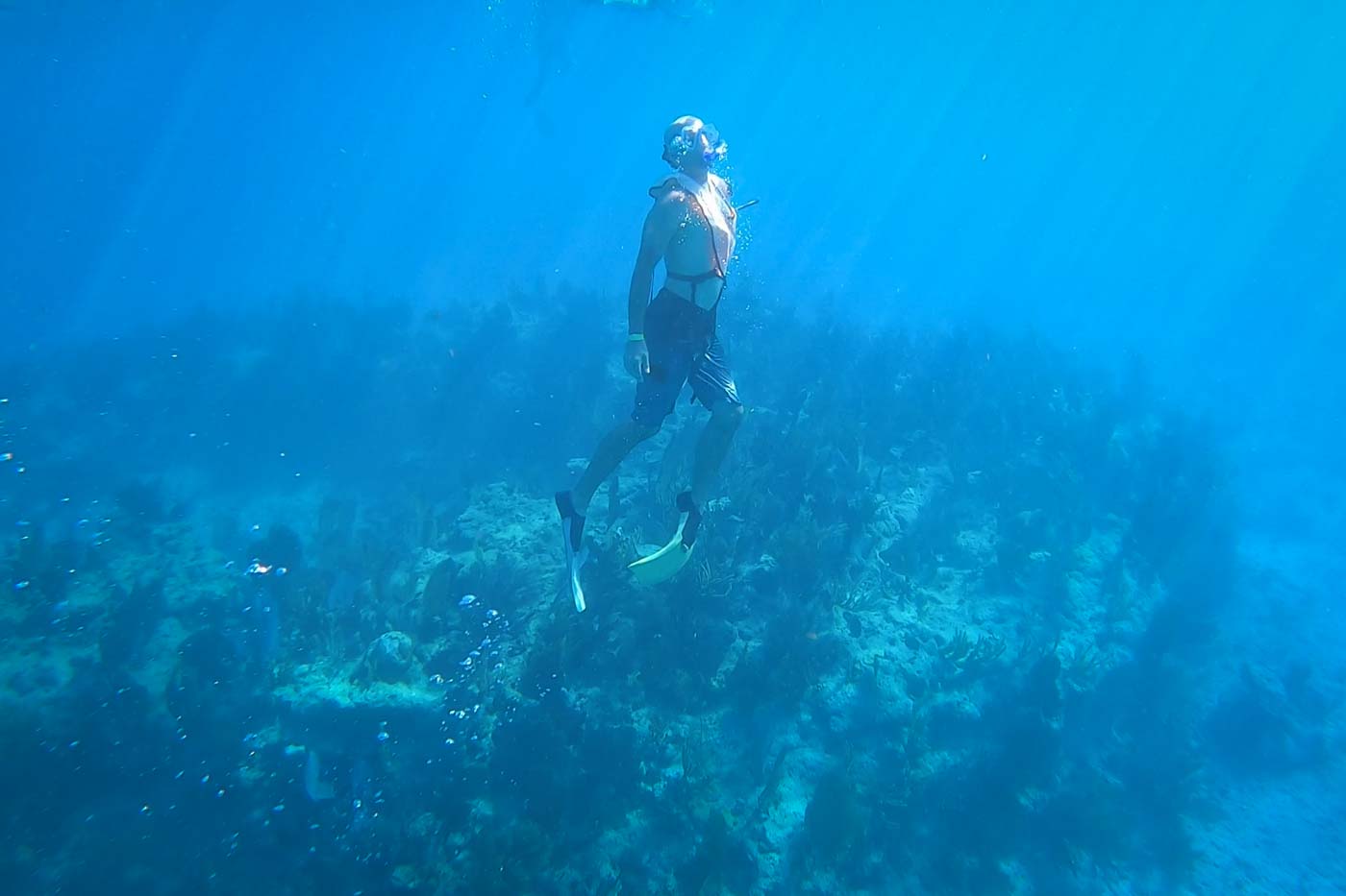 Key West reef snorkeling