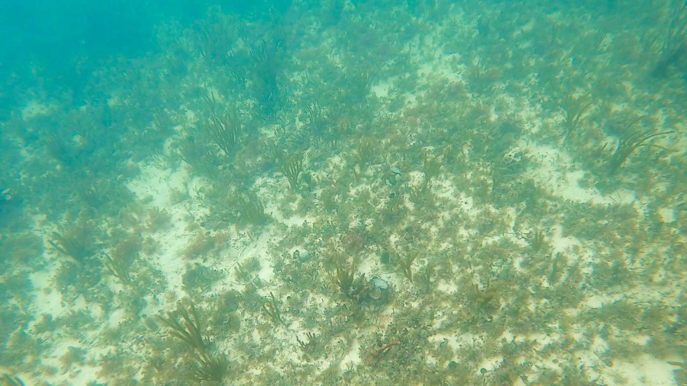 Underwater break Key West FL