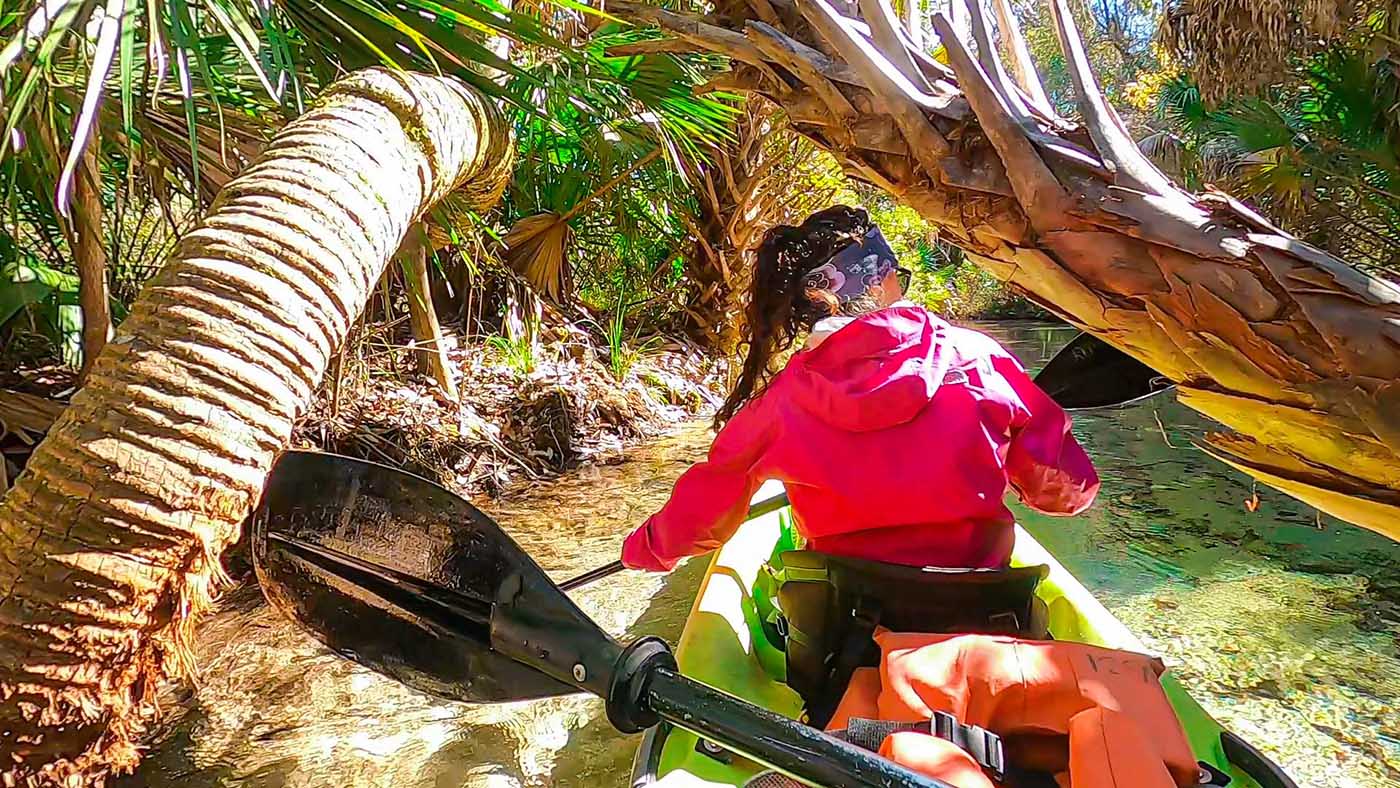 Juniper Springs Kayaking & Canoe Run in Florida, Ocala National Forest